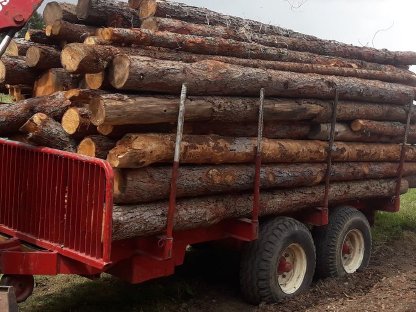 Bild 6:Rungenwagen, Rückewagen, Forstanhänger