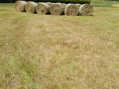 Heuballen Rundballen 1. Schnitt 2025