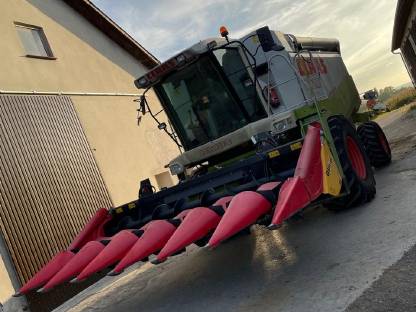 Bild 4:Lohndrusch mit 6 Schüttler Claas Lexion