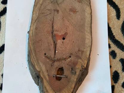 Bild 3:Rehbrett, Eibe, Brettchen, Rehbock, Geweih, Trophäen, Jagd