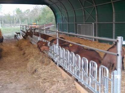 Bild 2:DueA Tunnel, Zelt, Rundbogenhalle Österreich