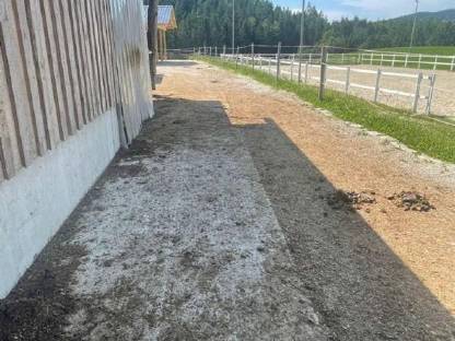 Bild 4:Einstellplätze für Pferde