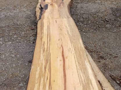 Bild 9:Holz