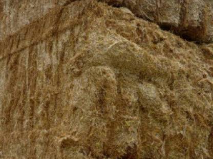 Bild 3:Stroh geschnitten, gemulcht und gemahlen