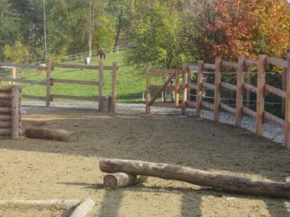 Einstellplatz im Offenstall