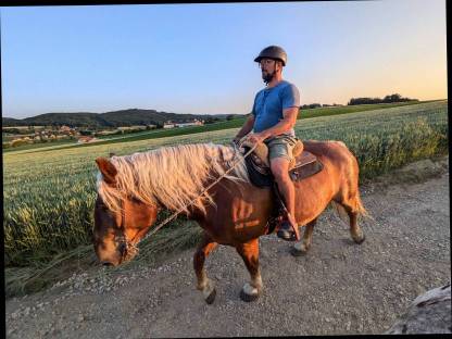 Bild 8:Lord und Jolly suchen Mitreiter