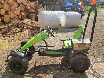 Bild 4:Berg Gokart XT-3 mit Überrollbügel