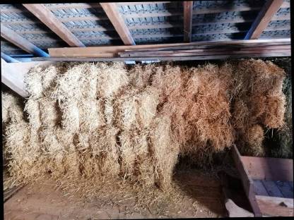 Bild 3:Verkaufe Kleinstrohballen Gerste