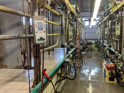 Bild 3:Melkstand Autotandem 2x5 GEA