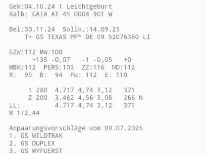 Bio Fleckviehkuh