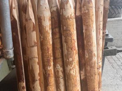 Bild 2:Lärchenstecken, Stempel, Strempel, Zaun, Lärchenstäcken