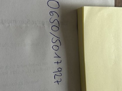 Bild 4:Noriker Fohlen