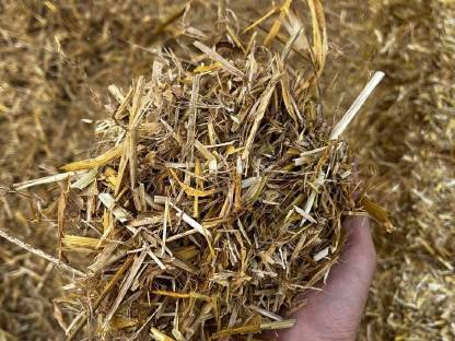 Bild 3:Stroh Ernte 2025
