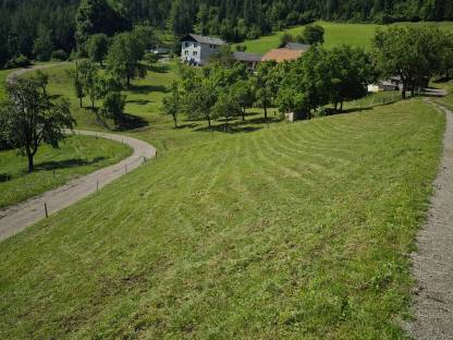 Bild 5:Übernehme Steilhang/Böschungsmulchen mit Blue Bird FM 24 70