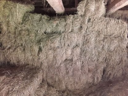 Bild 2:Heu in Kleinballen