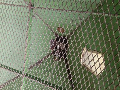 Bild 3:Düngerstreuer Amazone