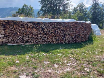 Bild 5:Brennholz