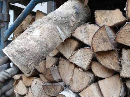 Bild 2:Brennholz Birke