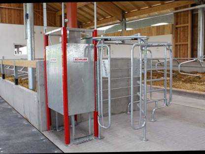 Abruffütterung Schauer Compident Cow