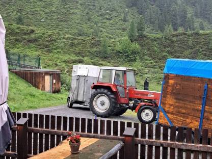 Bild 3:Kabine Steyr 980