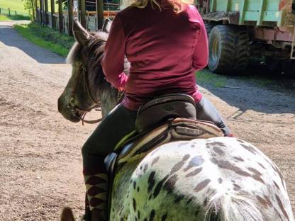 Bild 7:Lord und Jolly suchen Mitreiter