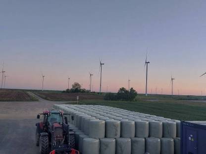 Bio Luzerne Silage