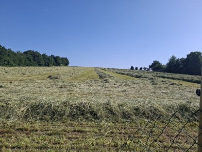 Bild 2:Heulage 1. Schnitt 2025