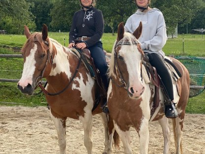 Bild 4:Reitbeteiligung Western für 2