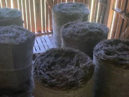 Bild 2:BIO Heuballen 2. Schnitt