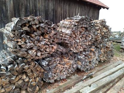 Birkenbrennholz