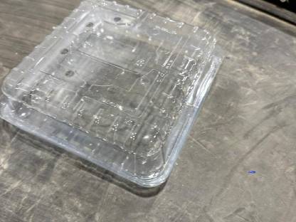 Bild 2:Quadratische Plastikschalen