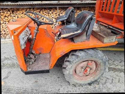 Bild 5:Steinbock Agil 3000 Transporter, kein Muli, Lindner