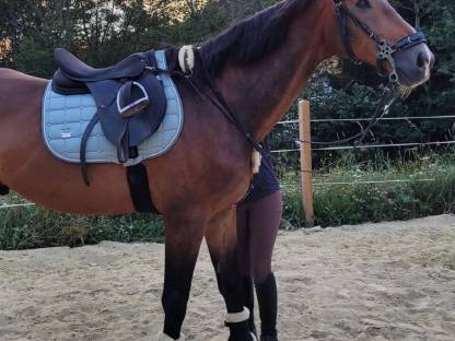 Bild 4:Alibi und Troja