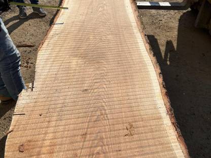 Bild 3:Eichenpfosten