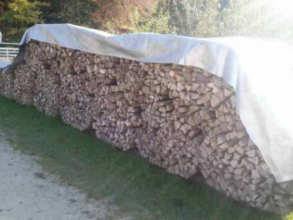 Bild 2:Brennholz