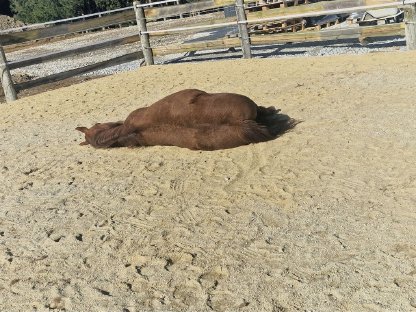 Bild 4:Einstellplätze zu vergeben