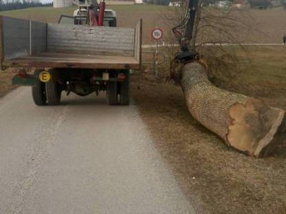 Bild 6:Rückewagen, Plattowagen