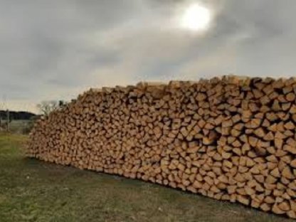 Brennholz weich