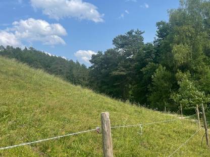 Bild 5:Einstellplatz für Pensionspferde