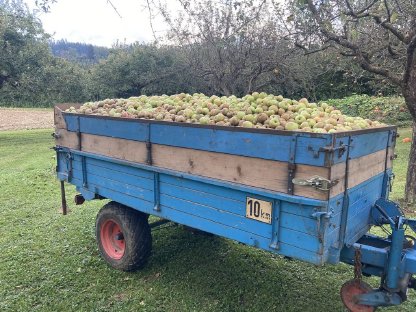 Bild 4:Streuwalze, Aufsatzbordwände Mengele Doppel-Trumpf ES20