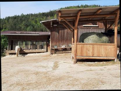 Bild 3:Pferdeeinstellplatz