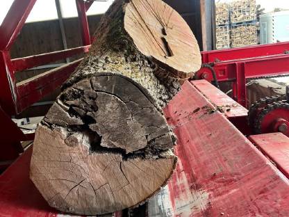 Bild 7:Brennholzhandel Lohnspalten Growi X Power bis 1 m Dm.