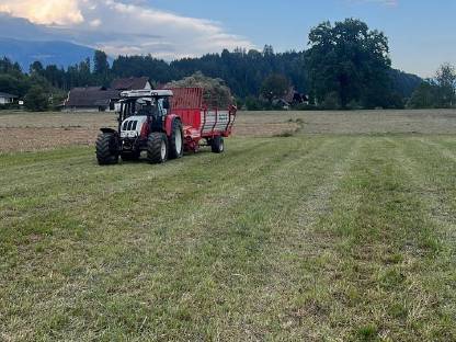 Landwirtschaftlicher Helfer