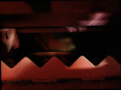 Bild 7:Silohäcksler Epple Blasius 933