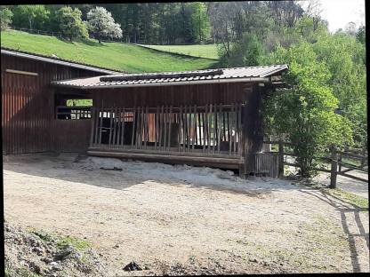 Bild 2:Pferdeeinstellplatz