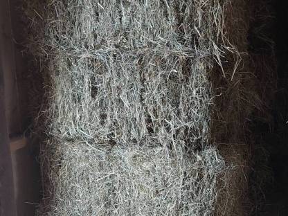Bild 2:Heu und Stroh