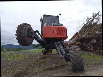 Bild 9:Schreitbagger Euromach 6500 Powertilt Spinne