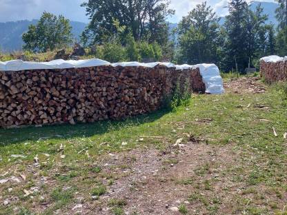 Bild 4:Brennholz
