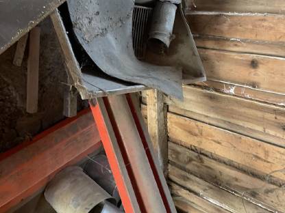 Bild 2:Düngerschnecke