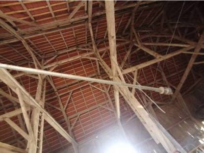 Bild 7:Körnerschnecke